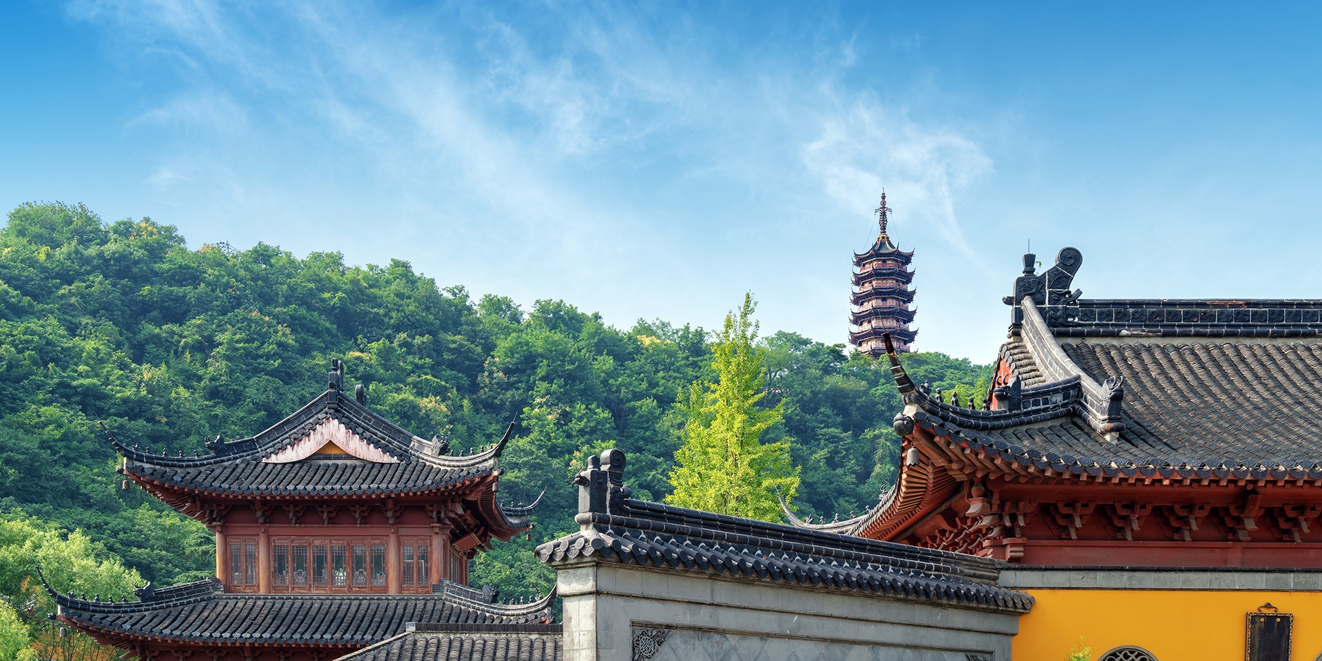 teach English in Zhenjiang