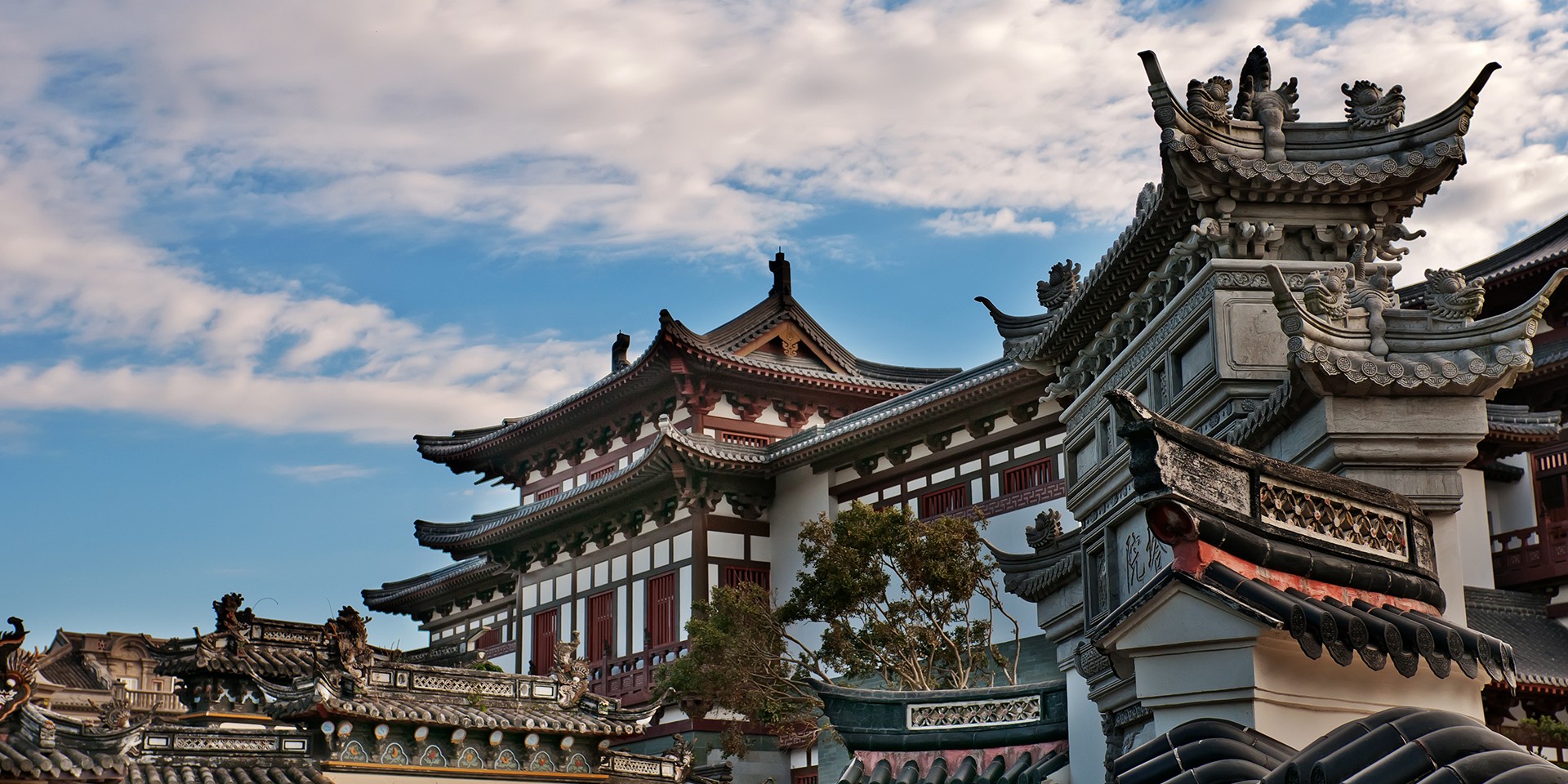 teach English in Ningbo