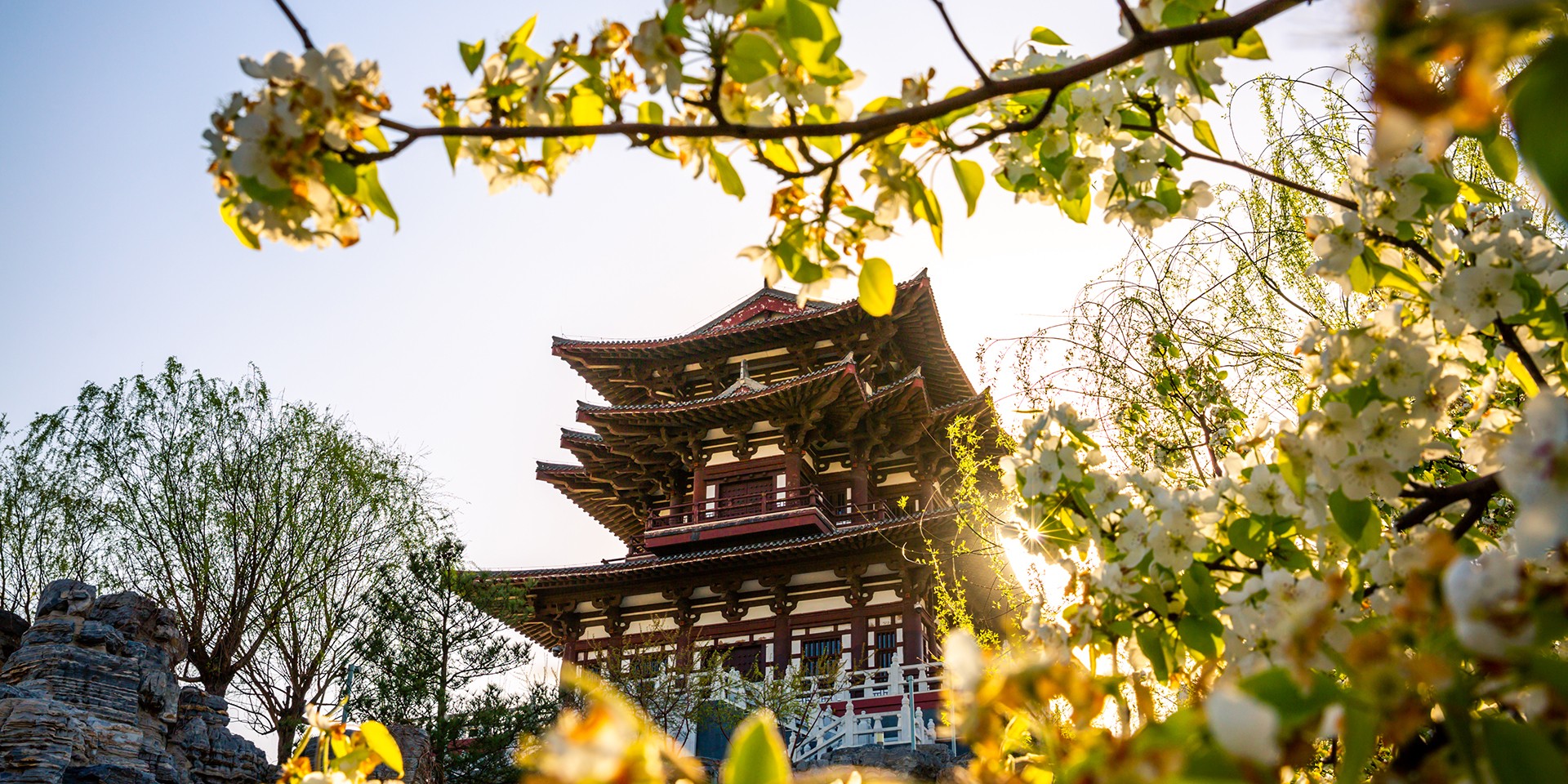 teach English in Tangshan