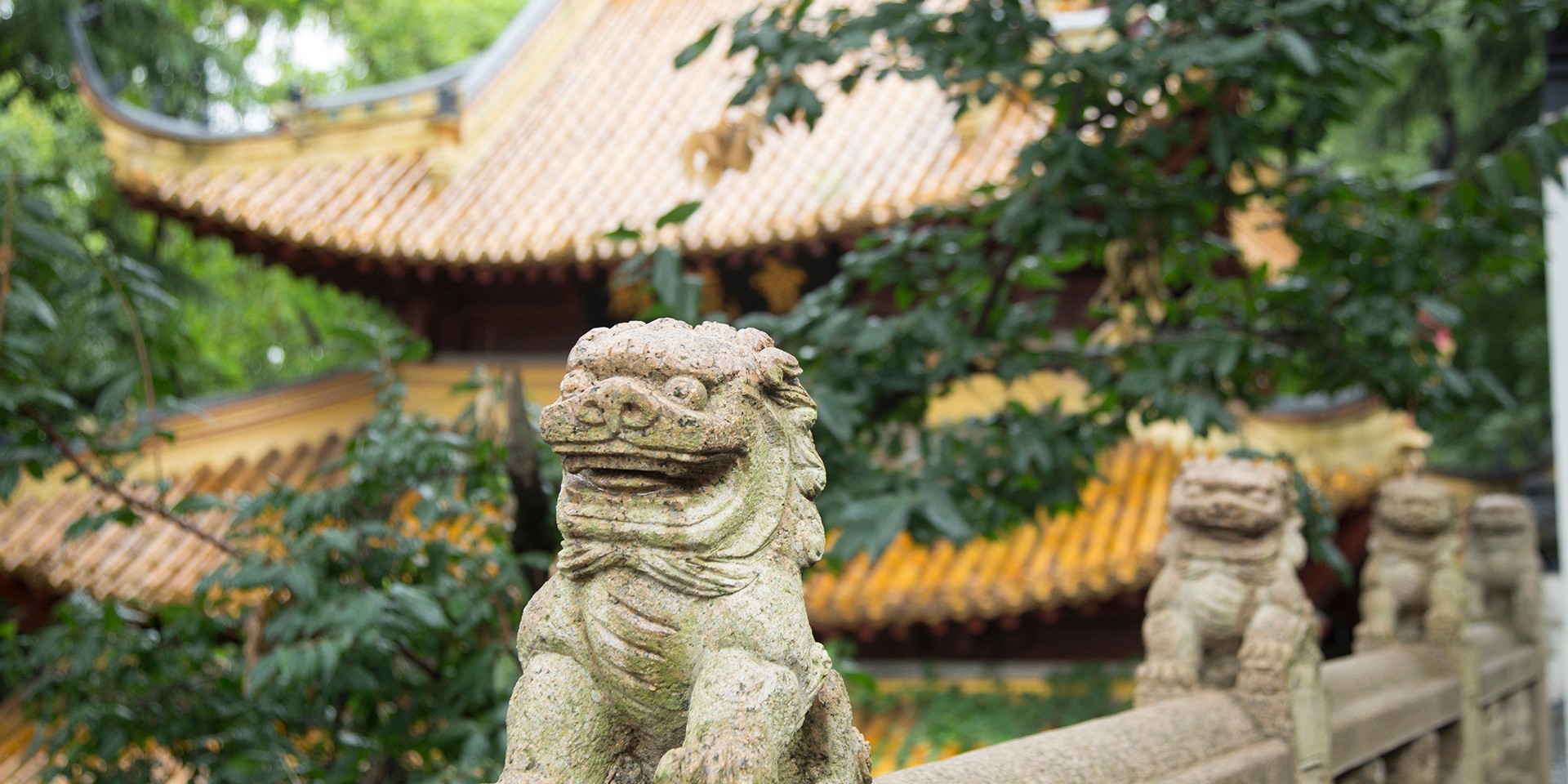 teach English in Nantong