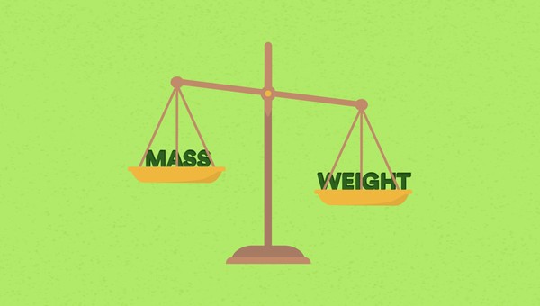 perbedaan mass and weight