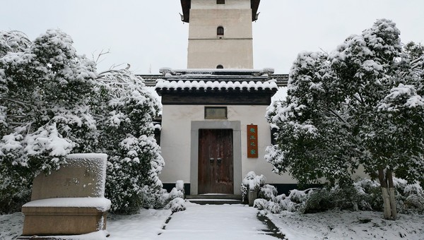 SURVIVING WINTER IN SHANGHAI